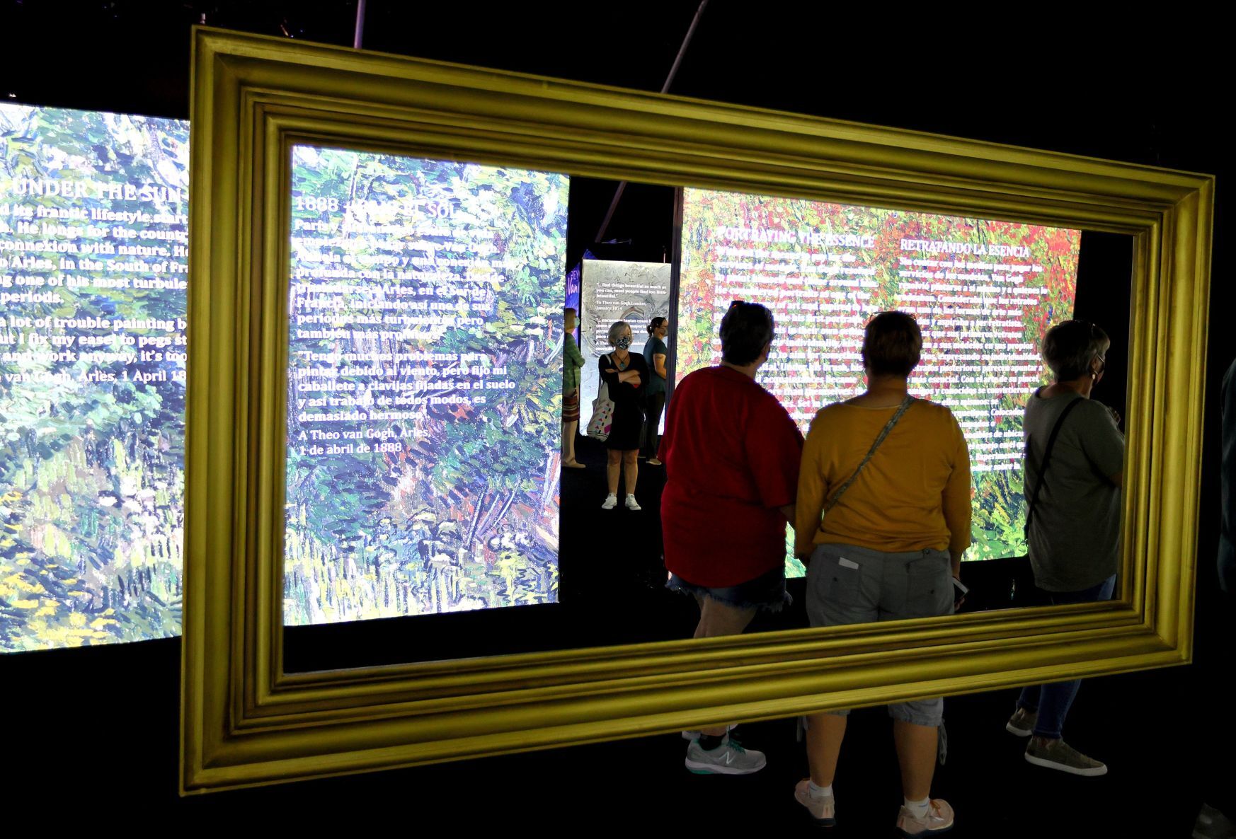 Beyond Van Gogh in St.Louis